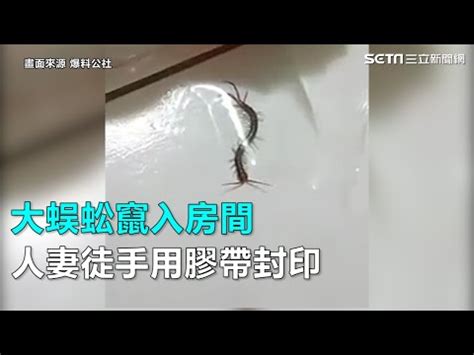 為什麼房間會有蜈蚣|【除蜈蚣】突然從天花板上掉下來的蜈蚣，光想到就讓。